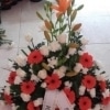 Centro Funerario Variado